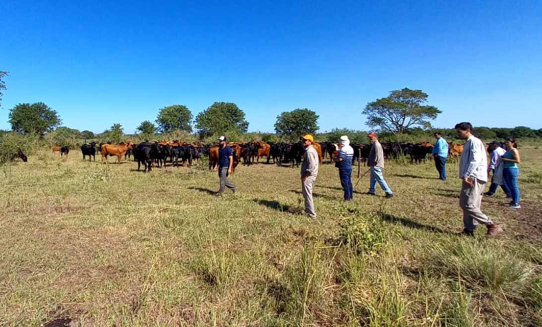 Ganader a regenerativa en Chaco recorridas y conclusiones