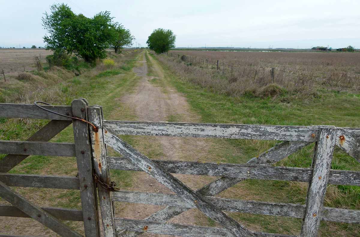 Cómo subdividir un campo y porqué tiene que hacerlo un matriculado