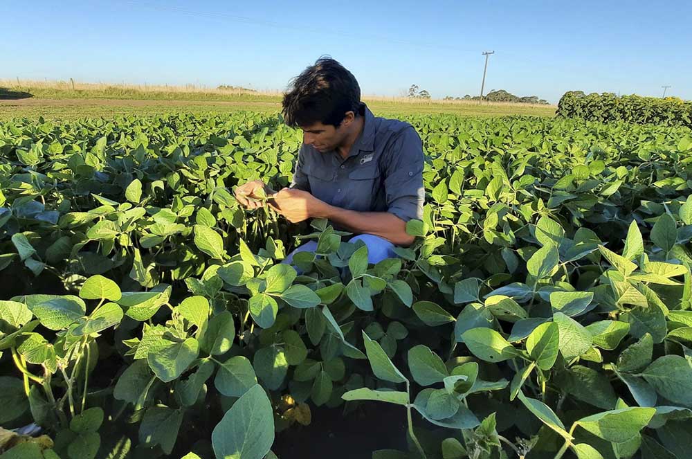 Tandil: Qué presenta Rizobacter en el Encuentro sobre Producción con Biológicos?