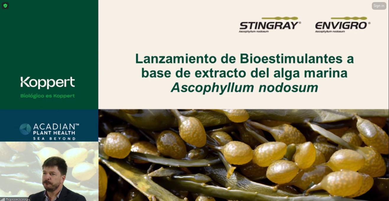 Koppert Argentina trae nuevos bioestimulantes de Acadian Plant Health 