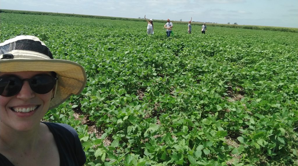 Mejoran la fijación de nitrógeno en soja con un método físico