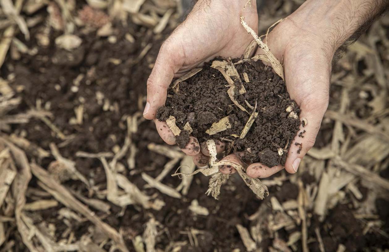 ¿ Es sustentable la agricultura en Argentina ?